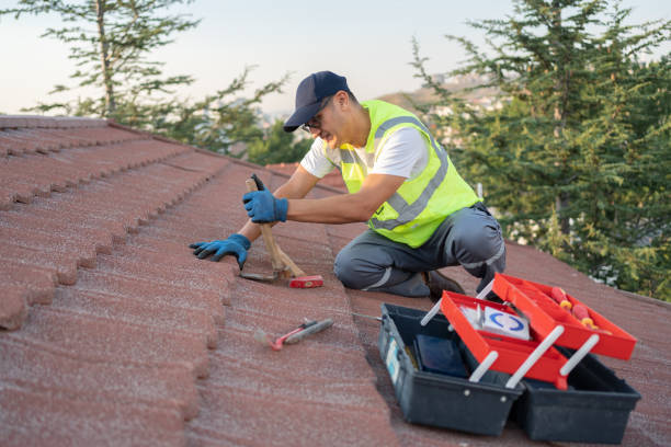 Best Roof Leak Repair  in Galena, IL