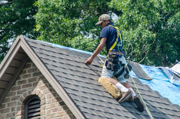 Best Gutter Installation and Roofing  in Galena, IL