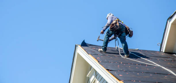 Best Residential Roofing Contractor  in Galena, IL